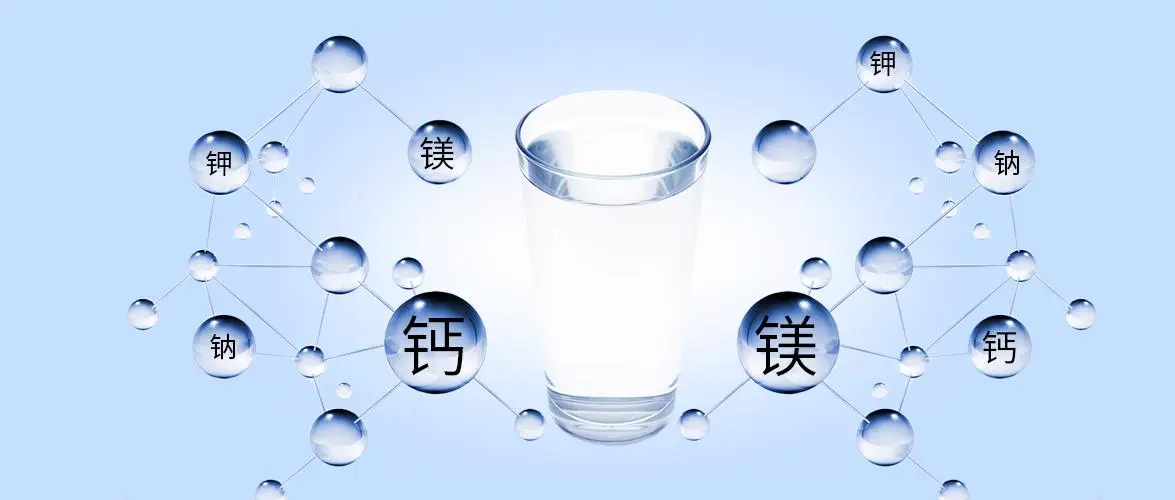 微信圖片_20240730134959.png